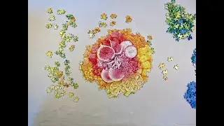 Circle of Colors Poke Bowl Jigsaw Puzzle Time Lapse