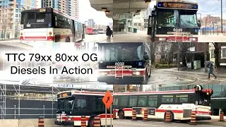 Exploring TTC 79xx 80xx OG Buses: A Diesel Adventure Unleashed! 🚌💨 #BusSpotting #PublicTransit