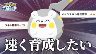 【ポケモンスリープ】トゲデマル…これでよくね〜〜？