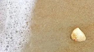 The Coast of Dreams