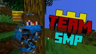 I APPLIED To The Team Origins SMP!