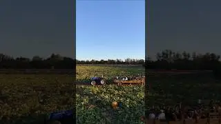 Hayride's At Bishops