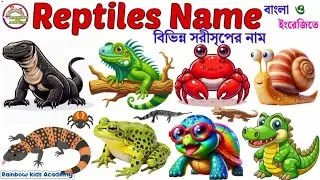Reptiles Name 🦎 | সরীসৃপের নাম | Kids Learning Video