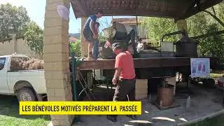 Barr&ecirc;me  : La lavande, bien plus qu&rsquo;une plante