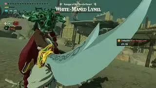 Playing Hyrule Warriors: Age of Imprisonment's Newest Difficulty!