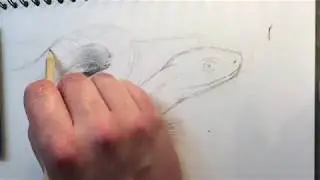 Lesson 01   3d Snake Drawing