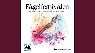 Skogsduva