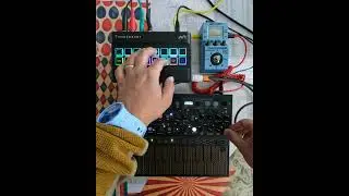Alter Audio Timetosser, Arturia Microfreak, Zoom MS70CDR