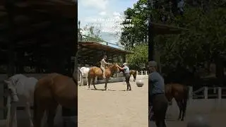 Creating Equestrian Content for Reels, TikTok, and Shorts 🐎🌴🌺 #equestrian #equestriancontent