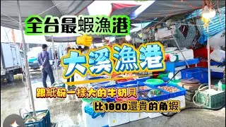 東北角海岸線ㄧ日遊隨便找幾個點出來玩都可以讓自己無限放鬆