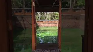Kerala traditional pond