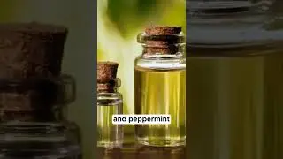 Breathe Easy: Aromatic Relief for Asthma with Essential Oils!