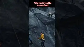 Cliffside breaks away from #mountains #goat #cliff #falling #safety