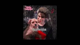 American Wedding! -Carlos De Vil Edit! #edit #carlos #Cameron Boyce #musicalfilm #decendants