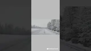 Driving in Negative Temperatures Alaska Moose running