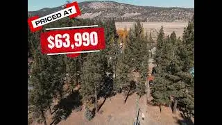 E Country Club Blvd Big Bear City CA 720P