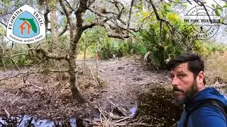 FLORIDA TRAIL Solo Thru-Hike EP 6 | River Ranch to Three Lakes