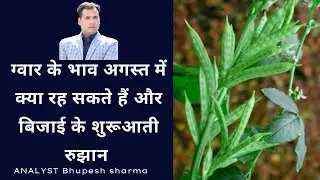 क्या ग्वार का भाव अगस्त में दायरा पार करेगा | #guar