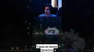 рутина terrariста #terraria #calamity #mastermode #мем