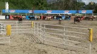 VALIDA NACIONAL DE TEAM PENNING COPA JHS CORPORACION  DIA DOMINGO