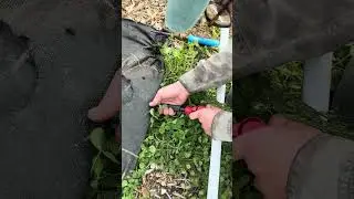 Drip Irrigation Setup at Gaining Ground Farm 农场滴灌安装