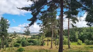 Compostelle: Saugues au Domaine Le Sauvage