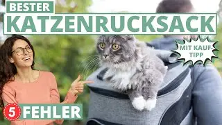 Bester Katzenrucksack -  5 Fehler beim Kauf