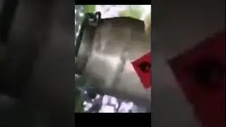 rip baldi