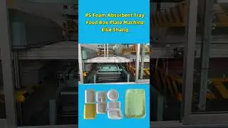 PS foam lunch box dish absorbent tray plate food container machine