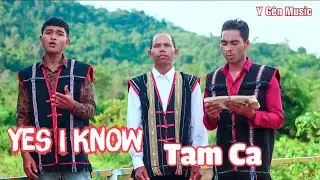 Yes I Know | Sit Kâo Thâo | Nhạc Thánh Tin Lành | Tam Ca