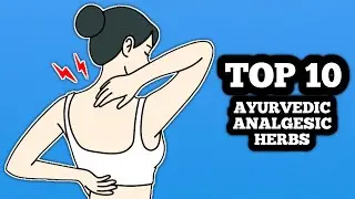 TOP 10 AYURVEDIC ANALGESIC MEDICINES | BEST POWERFUL PAIN RELIEVING HERBS | NATURAL PAINKILLERS 