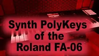 All the Synth PolyKey tones / patches / sounds of the Roland FA-06 / FA-08 keyboard - 18 of 19