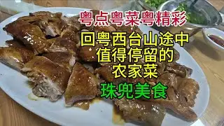 粤点粤菜粤精彩，回粤西台山途中，值得停留的农家菜，珠兜农庄，粤语中字幕2025-9-8