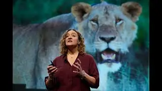 Five Reasons to Hope | Explorers Festival 2019