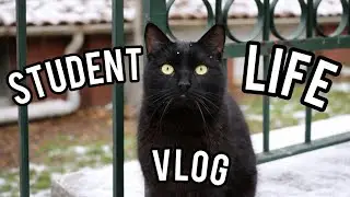 Study vlog (a day in a life of student in Turkey )