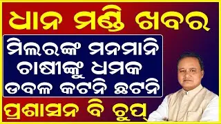 Open Sky Paddy, No Token Till Now! | Asika&ndash;Dharakote Mandi Ground Reality | Odisha Farmer News