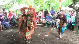 Kuda Tunggal Sinar Remaja #rendyzstudio