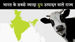 World Top Milk Producing Countries