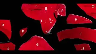 Tail Light Jigsaw | Mass v Karen Read