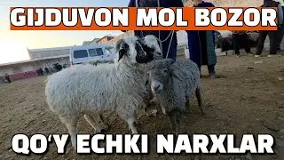 БУХОРО ГИЖДУВОН ЧОРШАНБА МОЛ БОЗОР. КУЙ ЭЧКИ НАРХЛАР 