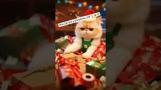 Cat Working in Santa&rsquo;s Workshop 🎅😂 | Christmas Chaos #CatComedy #XmasFunny #SantaCat