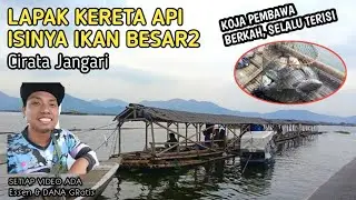 KOJA BERKAH, LAPAK KERETA INI ISINYA IKAN BESAR2 || MANCING CIRATA JANGARI 