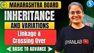 Class 12 Biology - Chp 3 Inheritance & Variations | Part 5 Linkage & Crossing over | Gyanlab  Anjali