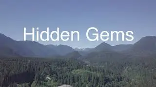 Coquitlam River Watershed Hidden Gem - Hoy Creek