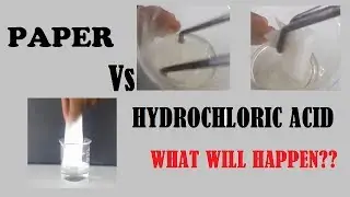 Hydrochloric acid and Paper ( What will happen )