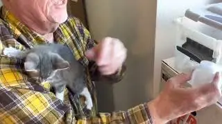 Kitten Nebulizer