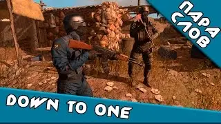 ПараСлов о [Down to One]