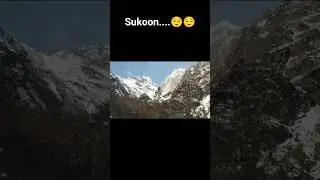 Sikkim(Yumthang valley☃️)#sikkim#travel #viral #trending#ytshorts #shorts#video#yt #snow #mountains