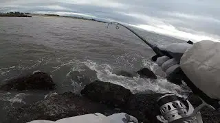 First Day Back, New Jetty??