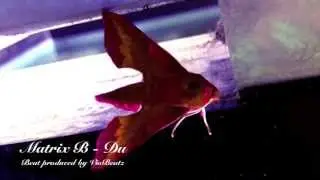 Matrix B - Du